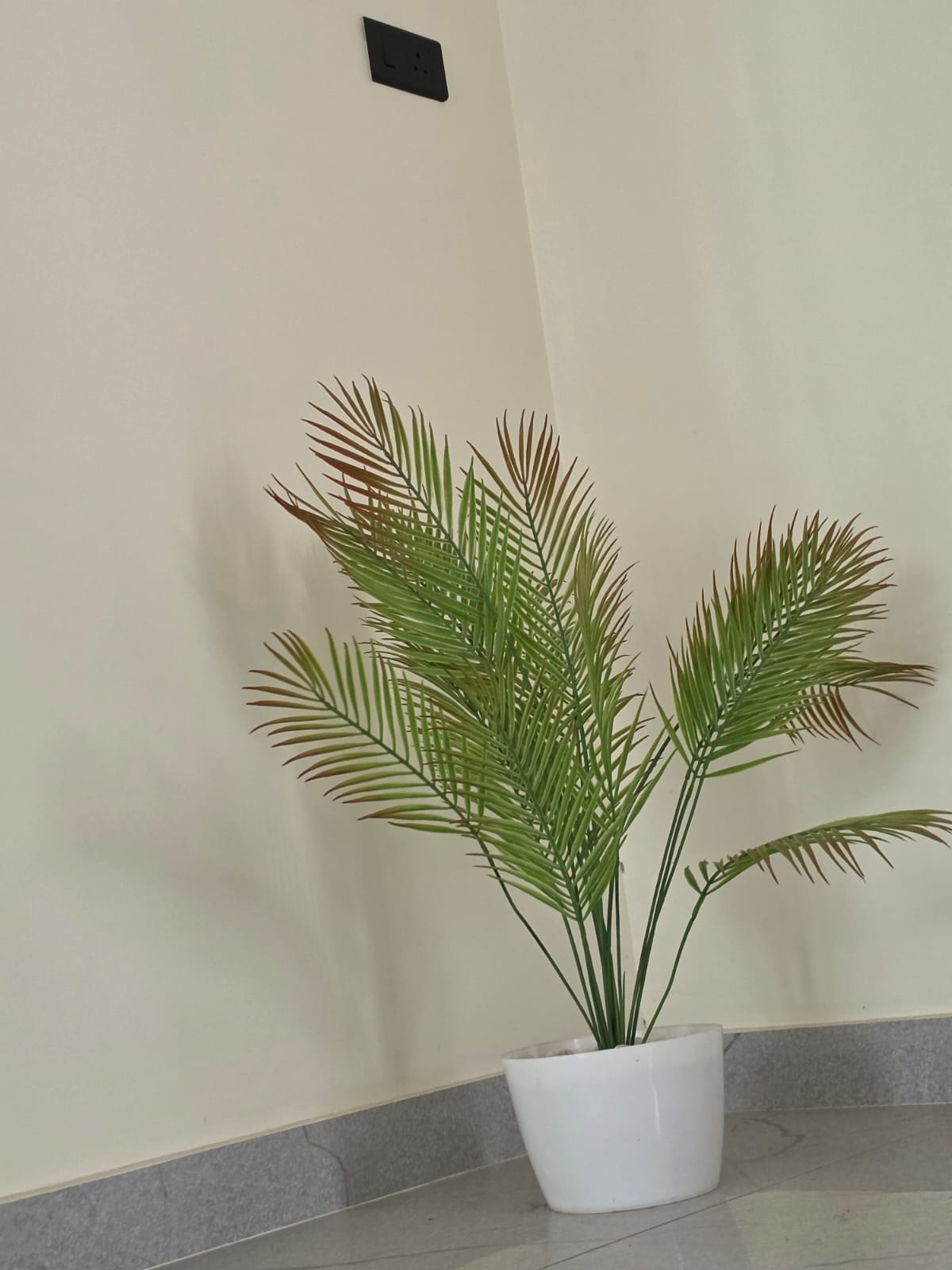 Interior Detail 3
