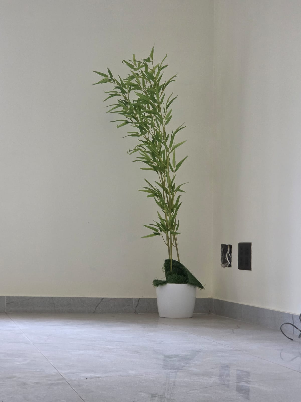 Interior Detail 4
